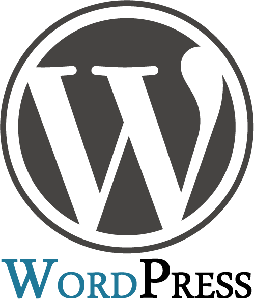 Professional CMS Services - Installation WordPress